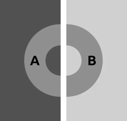 Koffka ring illusion