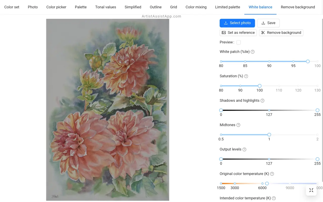 White balance and color correction in ArtistAssistApp