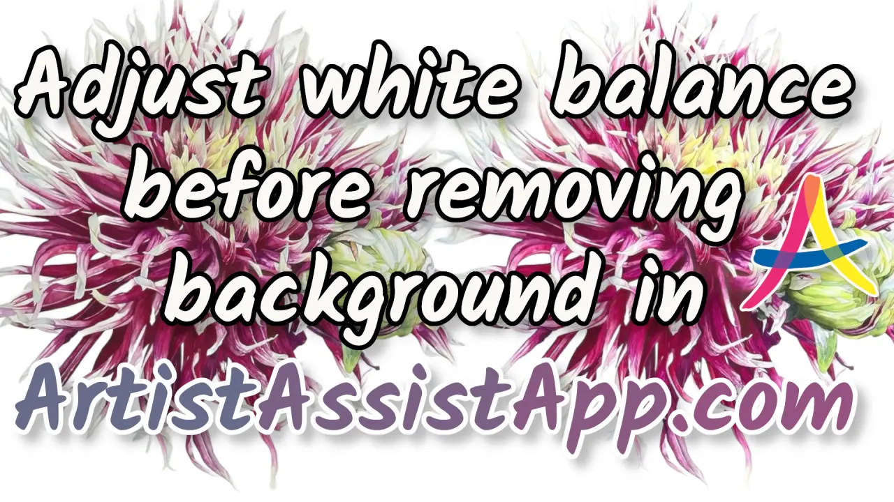 Combine White Balance Adjustment with Background Removal in ArtistAssistApp